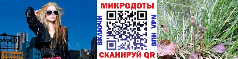 Псилоцибиновые грибы прущие грибы  mega зеркало  Кандалакша 